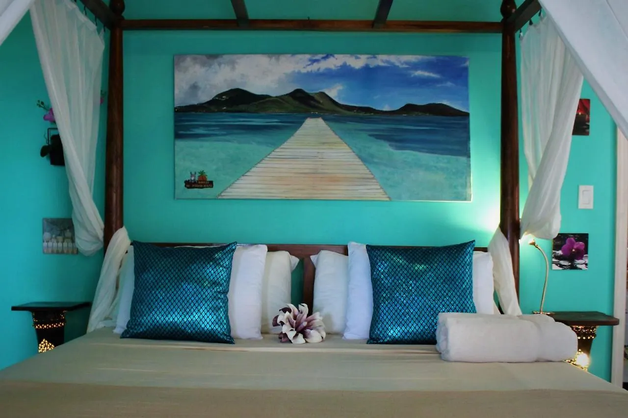 Apartament Donkey On The Beach Cobbs Cross Antigua i Barbuda